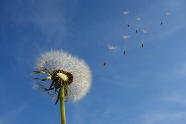 Sind es vielleicht die Hormone?